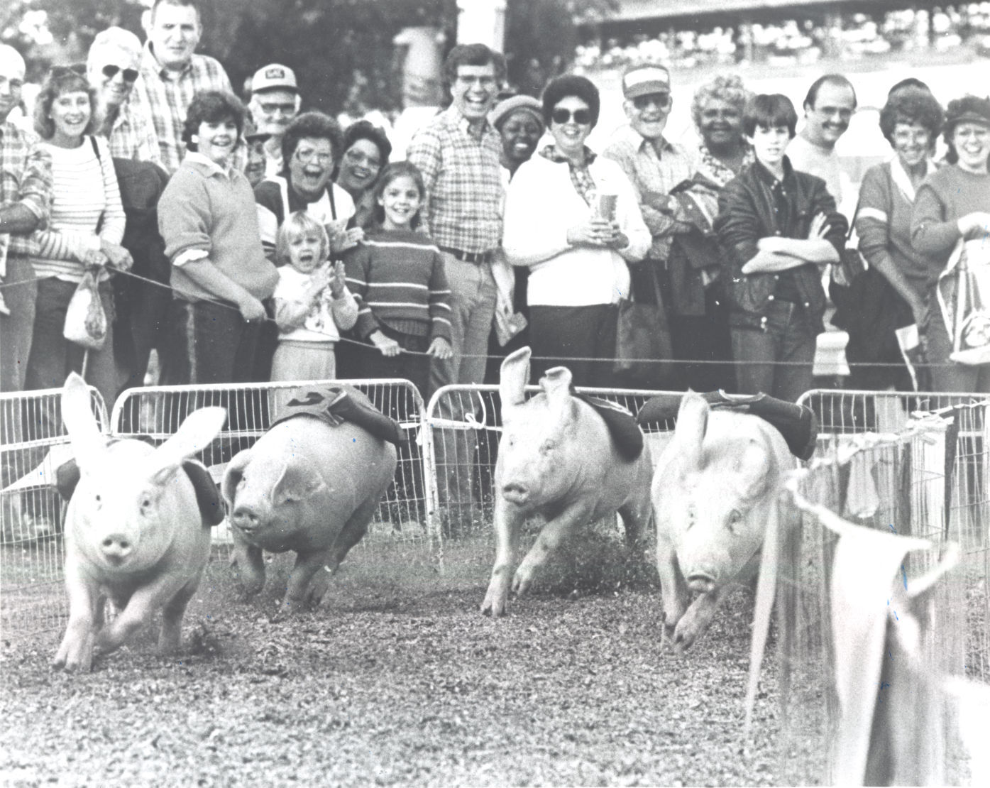 Salem Fair